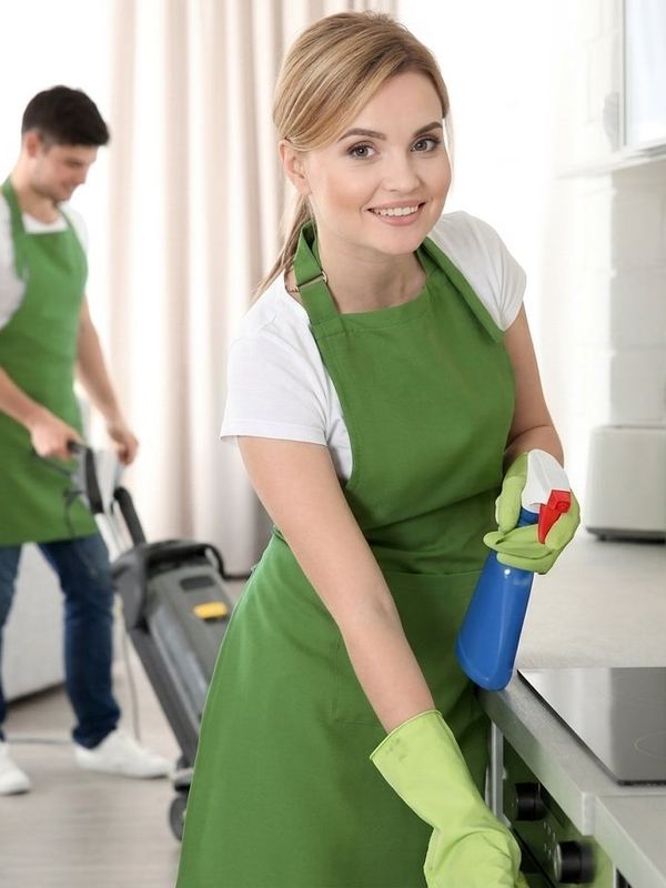 Professional eco cleaner at work